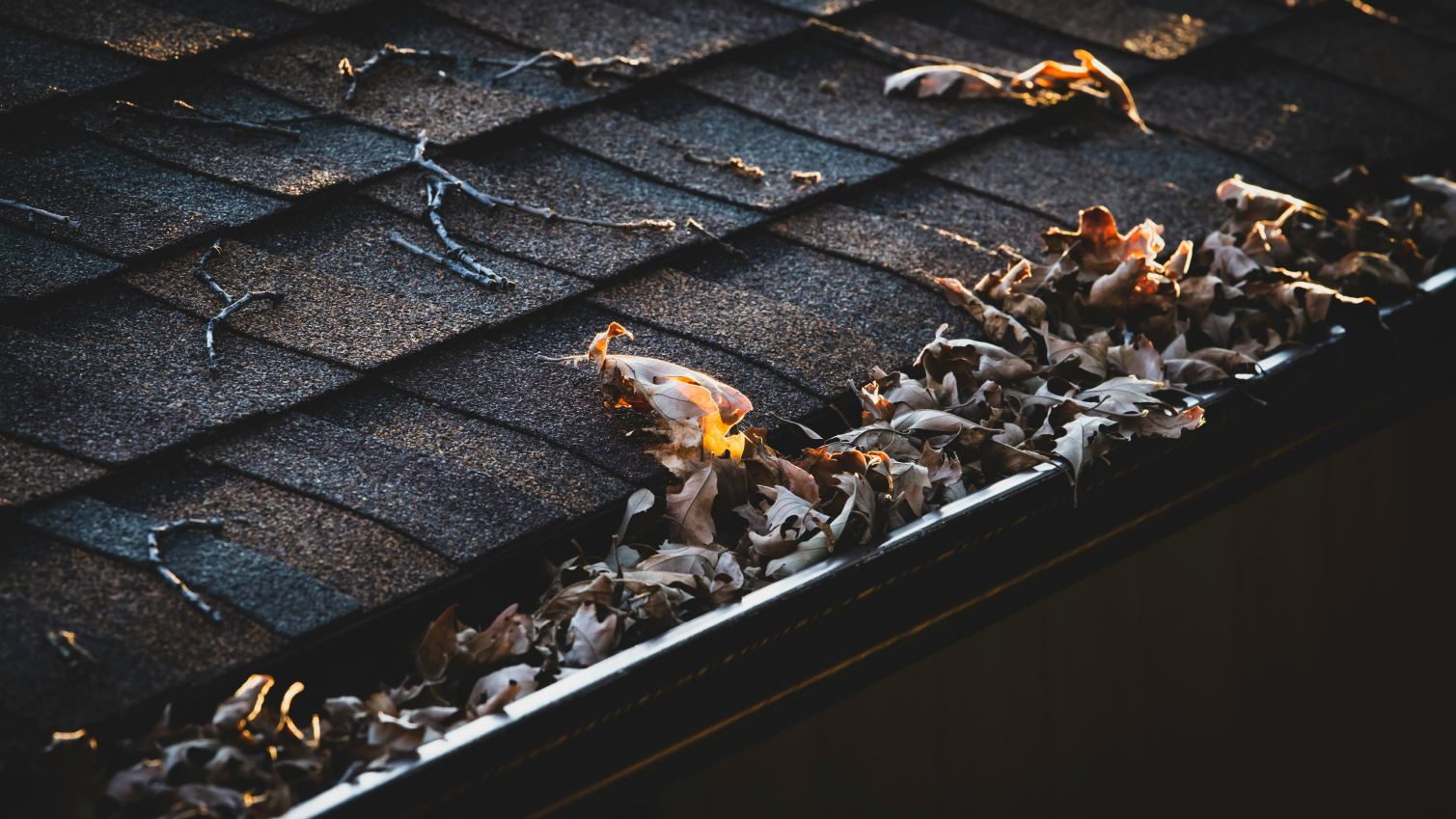 a gutter full of leaves and debris