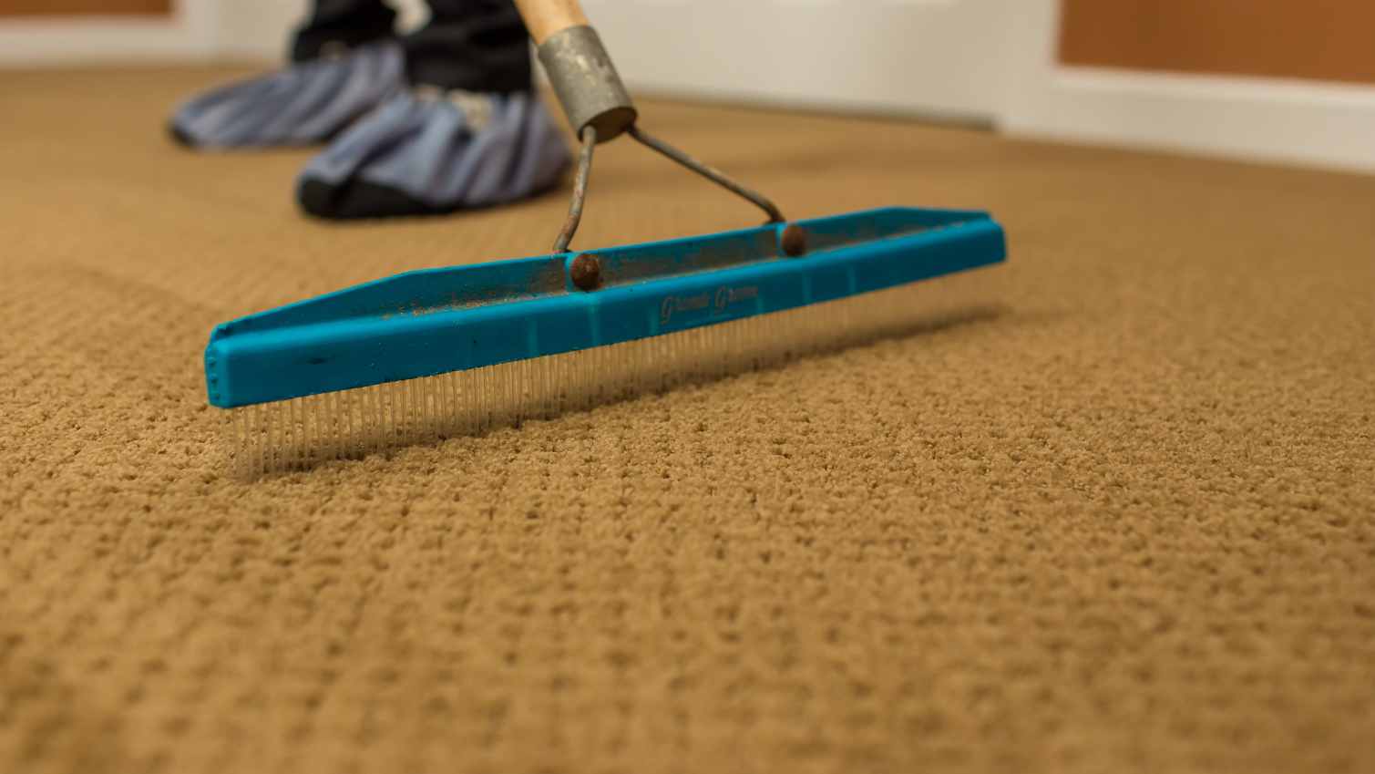 a worker wearing shoe protection combs a freshly cleaned carpet